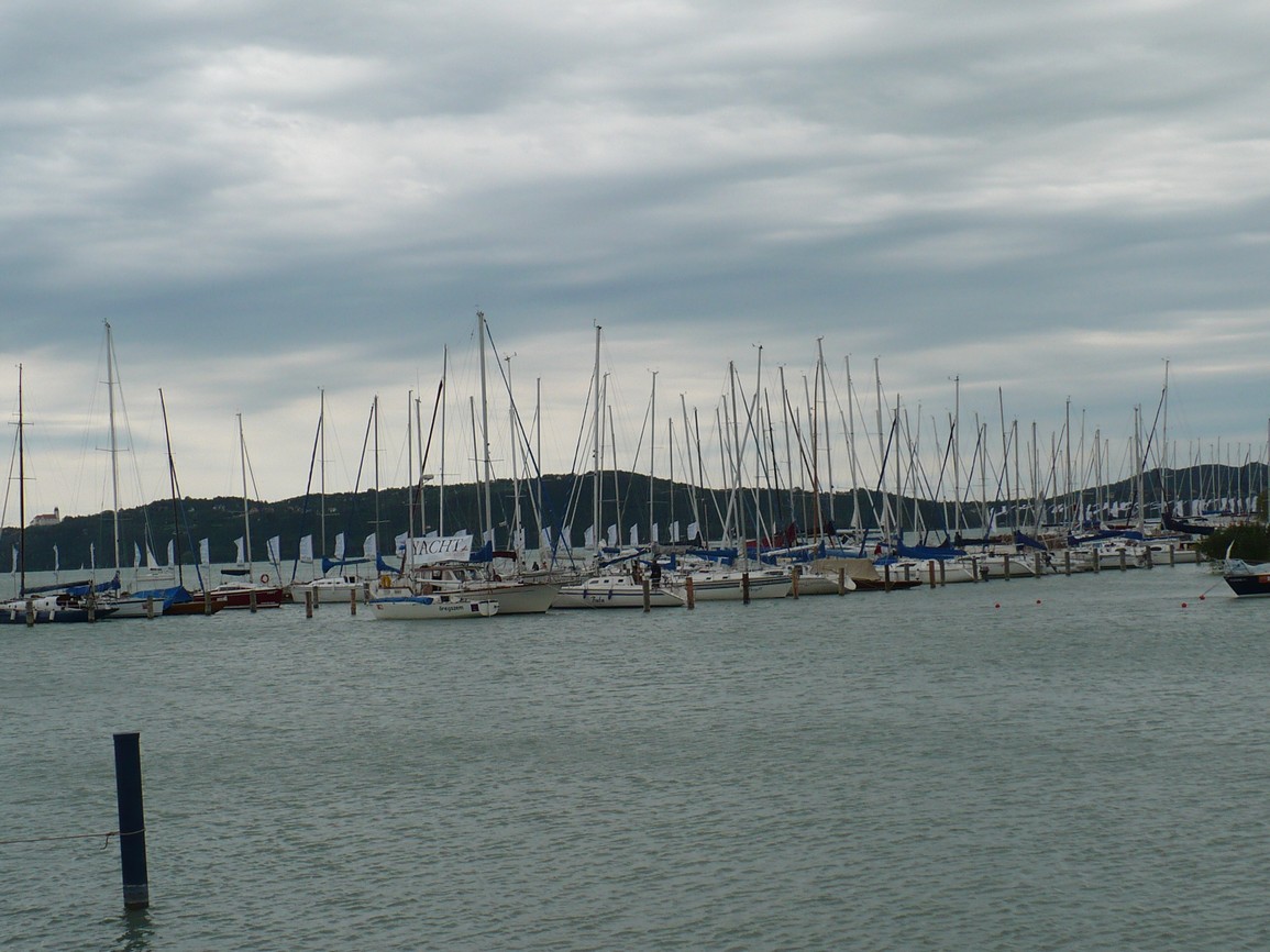P1000932.JPG