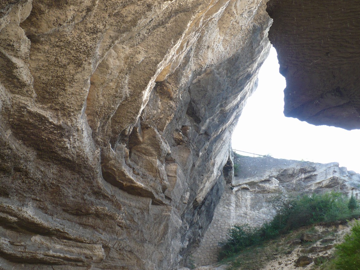 P1010020.JPG